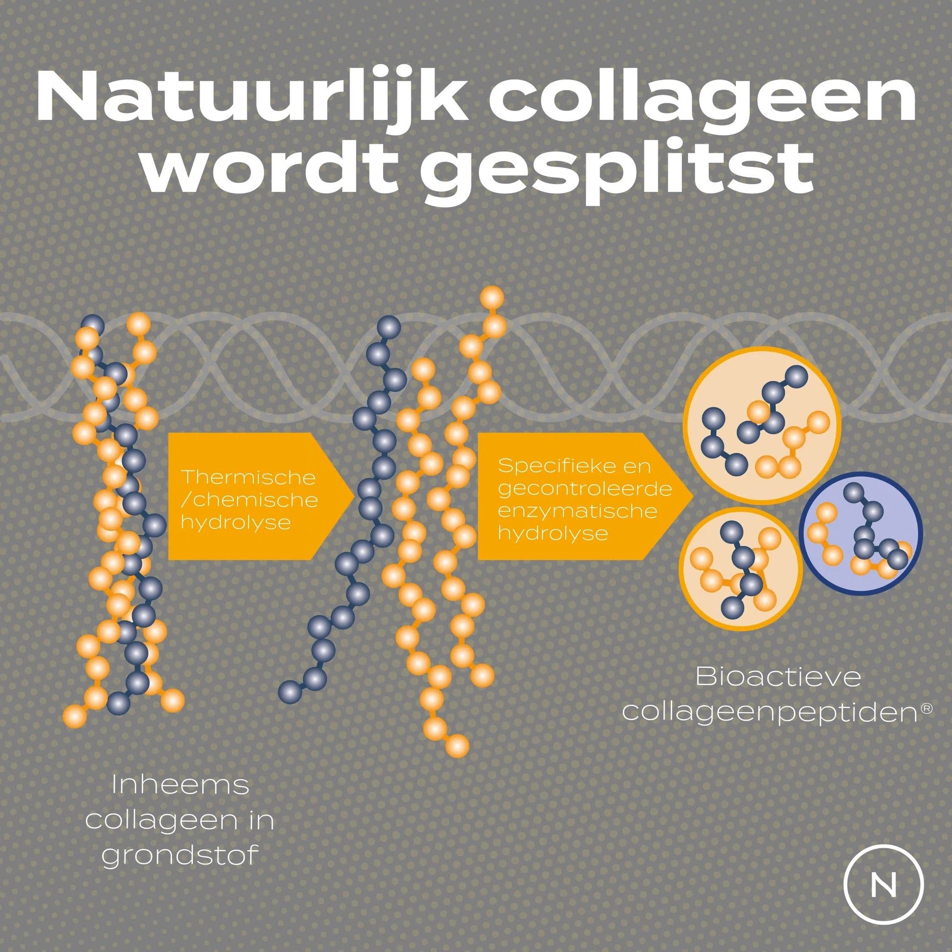 Collageen Peptiden Poeder