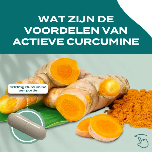 Actieve Curcumine