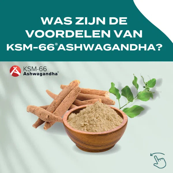 KSM-66® Ashwagandha