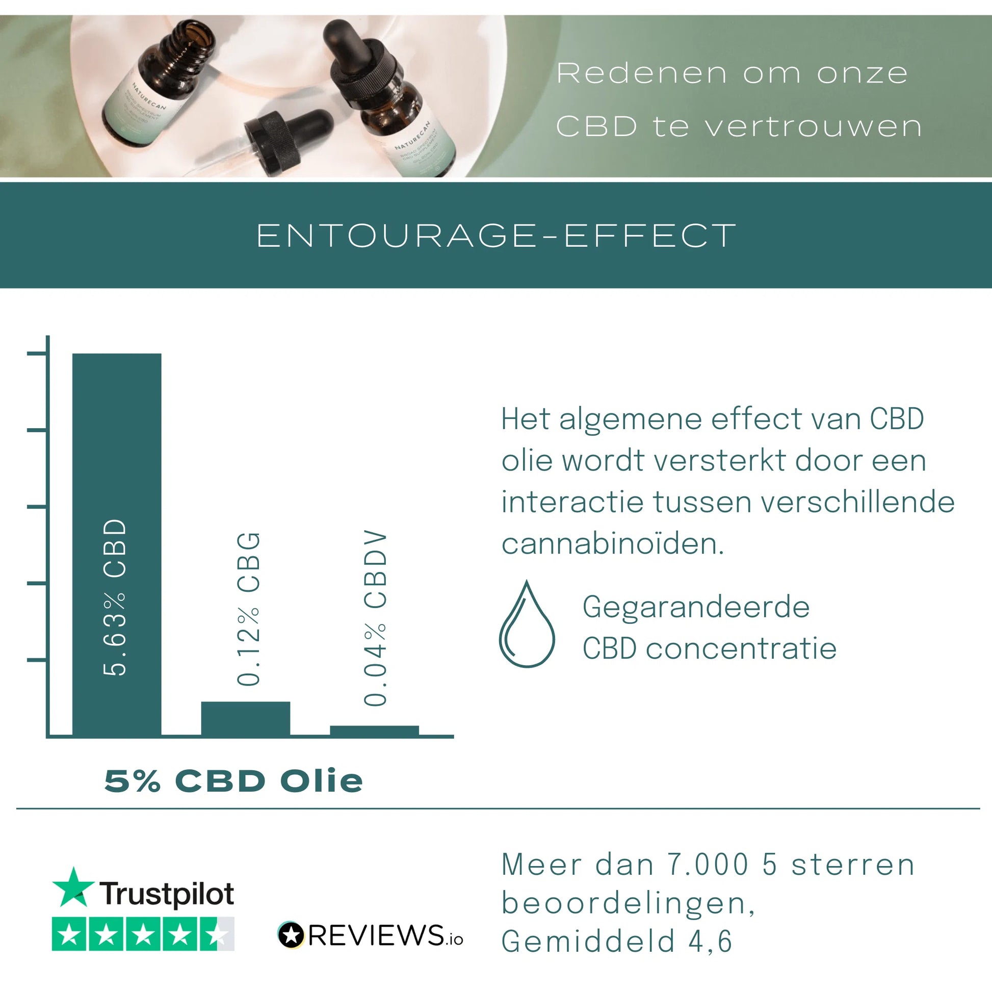 CBD Gummiberen