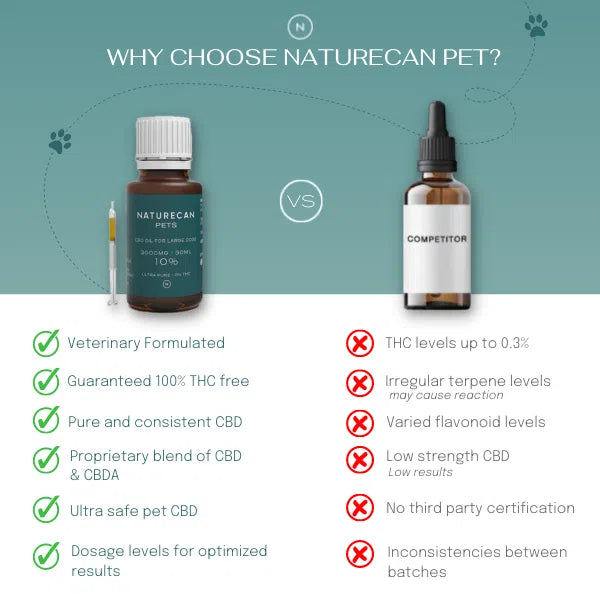 CBD Olie voor Honden