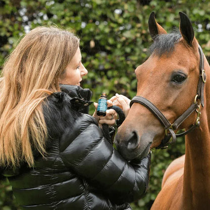 CBD Olie voor paarden