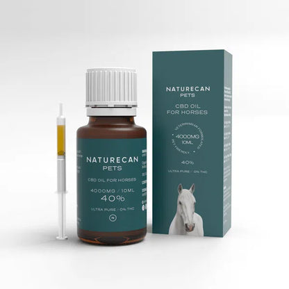 CBD Olie voor paarden