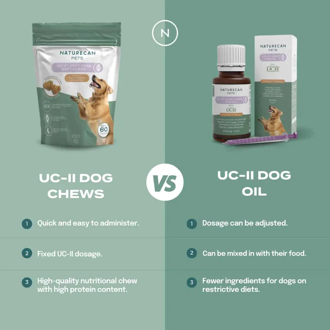 UC-II® Gewrichtsverzorging voor Honden