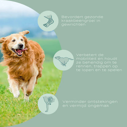 UC-II® Gewrichtssnoepjes voor Honden