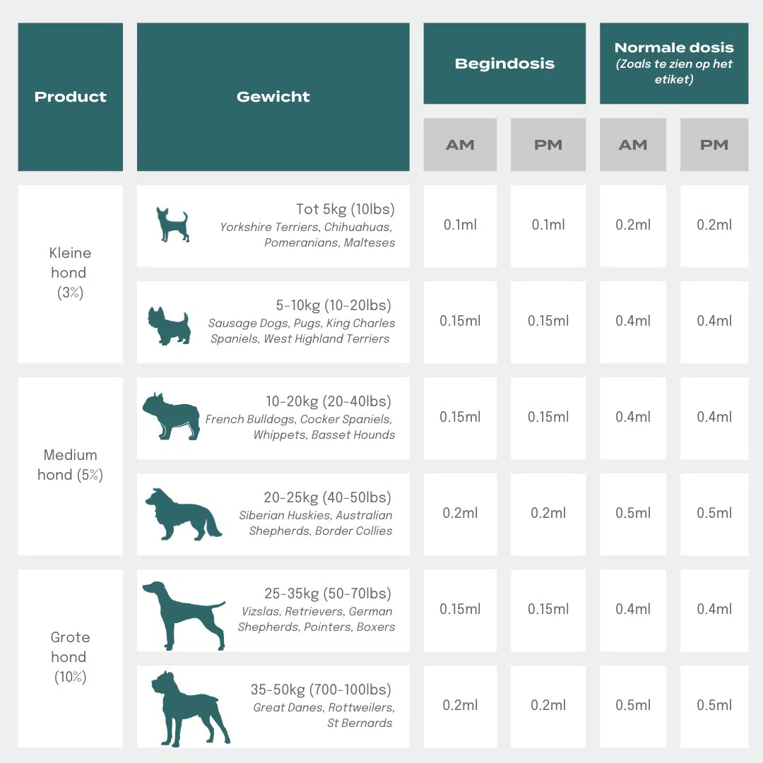 CBD Olie voor Honden