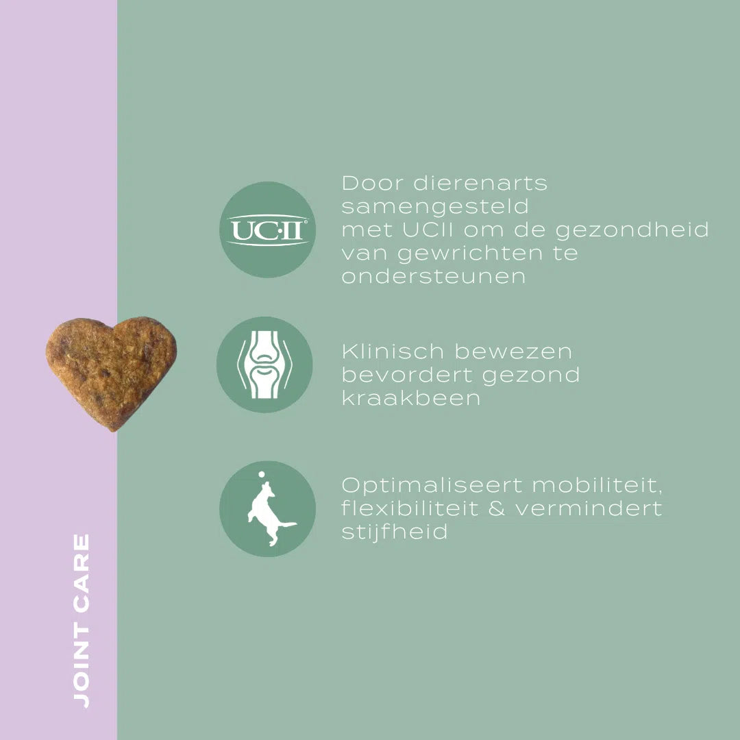 UC-II® Gewrichtssnoepjes voor Honden