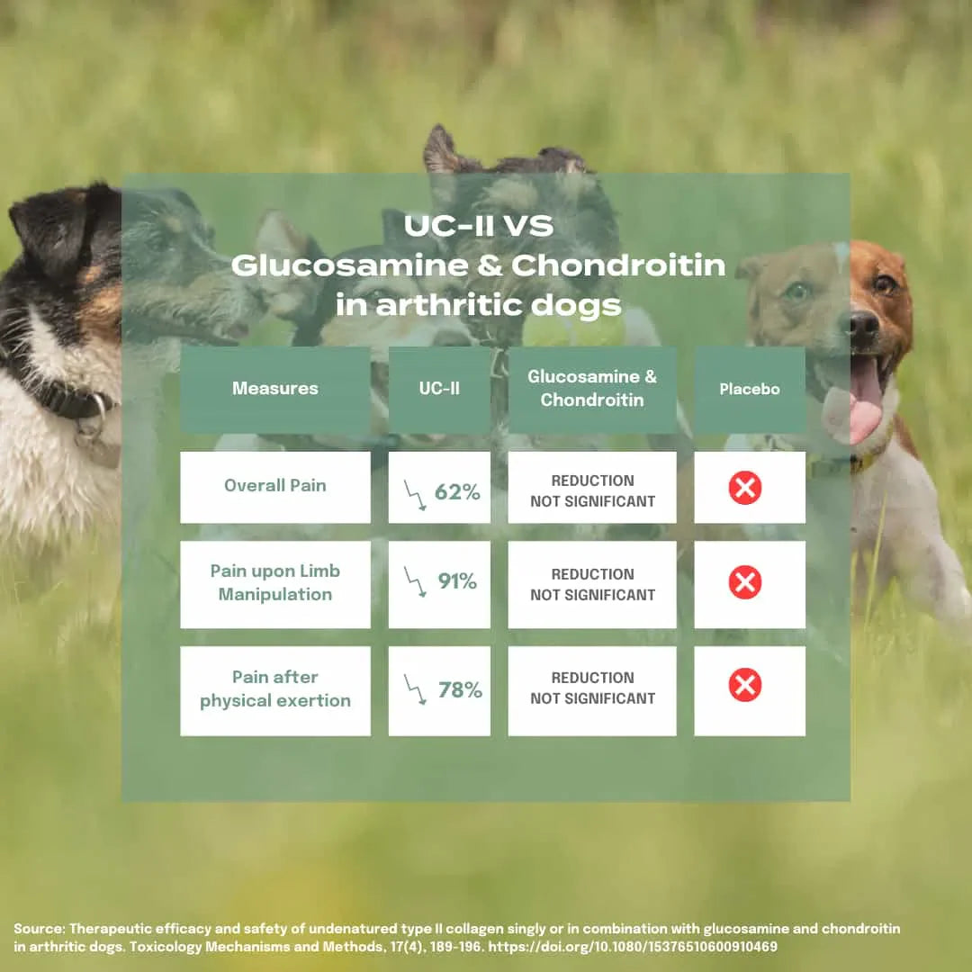 UC-II® Gewrichtsverzorging voor Honden