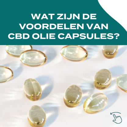 CBD Capsules