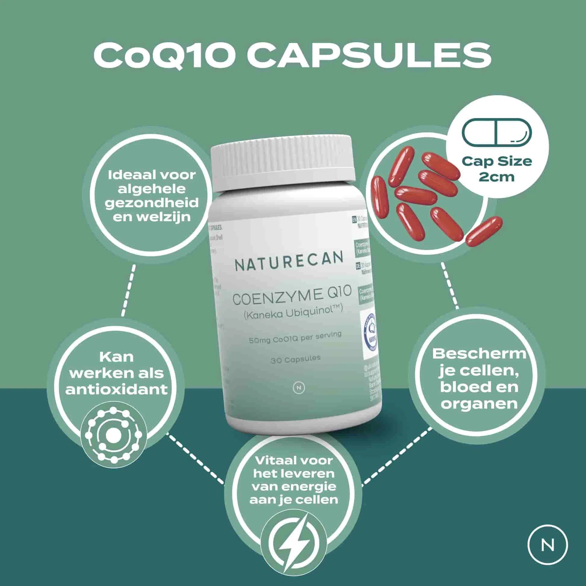 CoQ10 Capsules